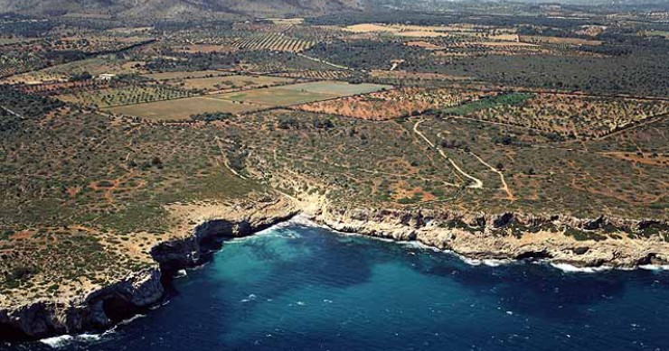 Playa Cala Falco, Manacor, Mallorca / Fuente: mapama.gob.es