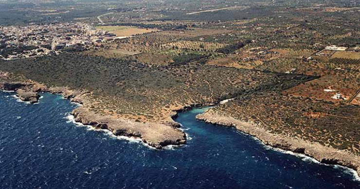 Playa Cala Petita, Manacor, Mallorca / Fuente: mapama.gob.es