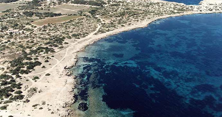 Playa Caló de S'Olí, Formentera / Fuente: mapama.gob.es