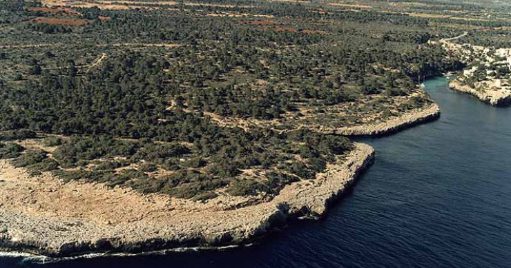 Playa Cala Beltrán, Llucmajor, Mallorca / Fuente: mapama.gob.es