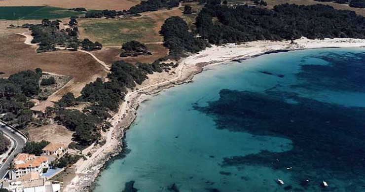 Playa Es Dolç, Ses Salines, Mallorca / Fuente: mapama.gob.es