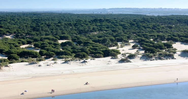 Playa La Bota, Punta Umbría, Huelva / Fuente: mapama.gob.es