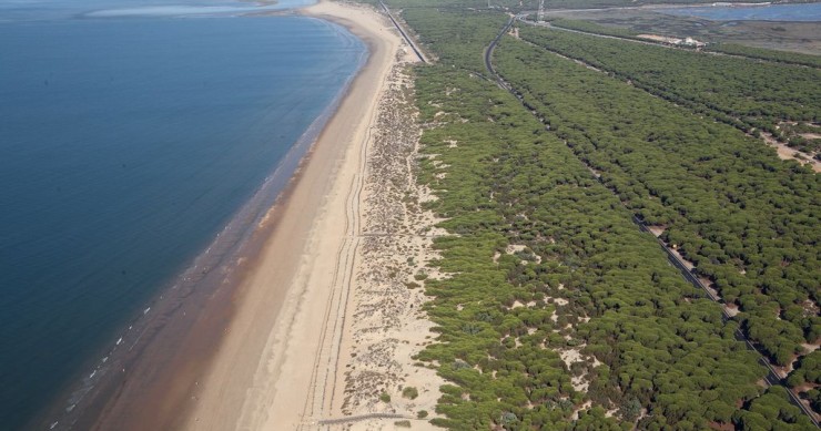 Playa Los Enebrales, Punta Umbría, Huelva / Fuente: mapama.gob.es