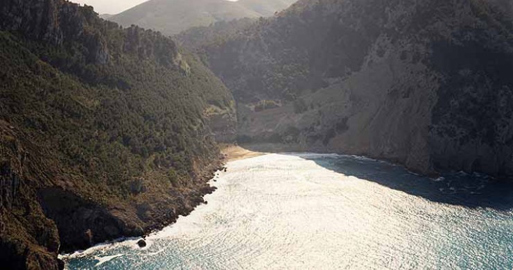 Playa Coll Baix, Alcúdia, Mallorca / Fuente: mapama.gob.es