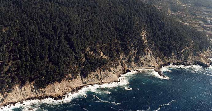 Playa Punta Galera, Banyalbufar, Mallorca / Fuente: mapama.gob.es