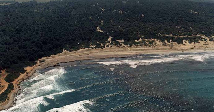 Playa Sa Cánova, Artà, Mallorca / Fuente: mapama.gob.es