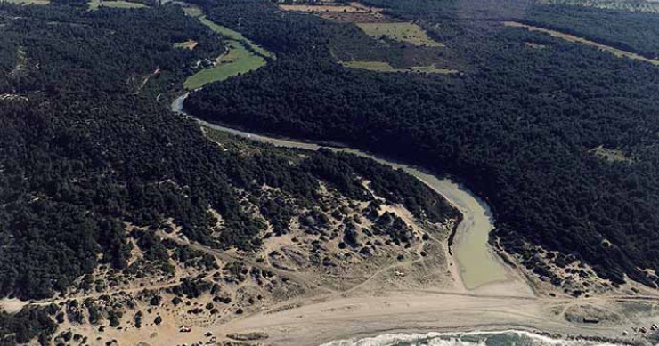 Playa Son Real, Santa Margalida, Mallorca / Fuente: mapama.gob.es