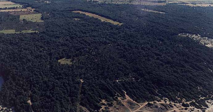 Playa Cala Serralot, Santa Margalida, Mallorca / Fuente: mapama.gob.es