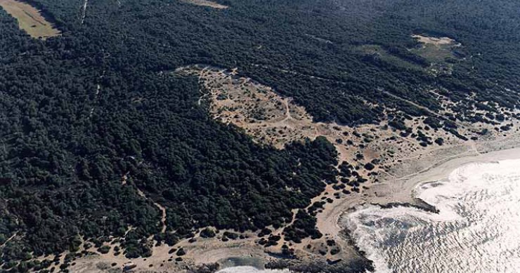 Playa S'Arenal d'En Casat, Santa Margalida, Mallorca / Fuente: mapama.gob.es