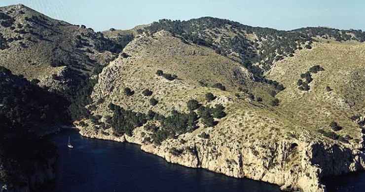 Playa Cala en gossalba, Pollença, Mallorca / Fuente: mapama.gob.es