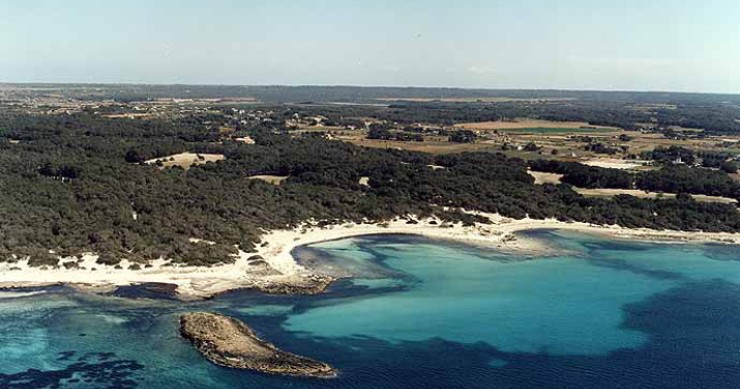 Playa Es Perengons Petits, Campos, Mallorca / Fuente: mapama.gob.es