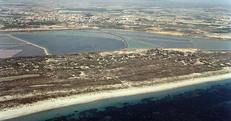 Playa Torre Derribada, San Pedro del Pinatar, Murcia / Fuente: mapama.gob.es