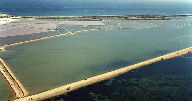 Playa La Mota / los Molinos, San Pedro del Pinatar, Murcia / Fuente: mapama.gob.es