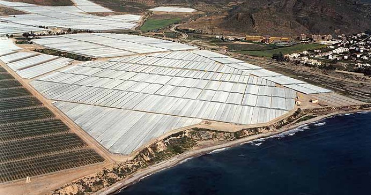 Playa La Calera, Cartagena, Murcia / Fuente: mapama.gob.es