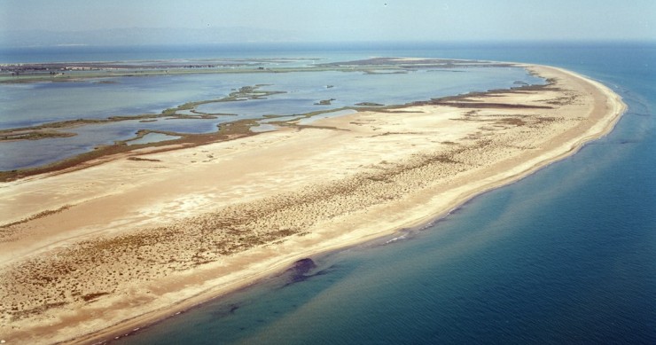 Playa Playa de la Isla de Buda, Sant Jaume d'Enveja, Tarragona / Fuente: mapama.gob.es