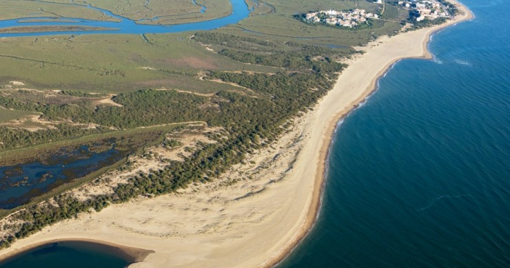 Playa San Bruno, Ayamonte, Huelva / Fuente: mapama.gob.es