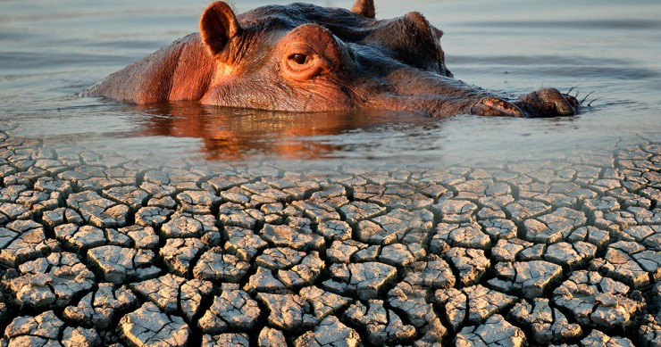 Solo el 31% de las casas en España tiene aire acondicionado