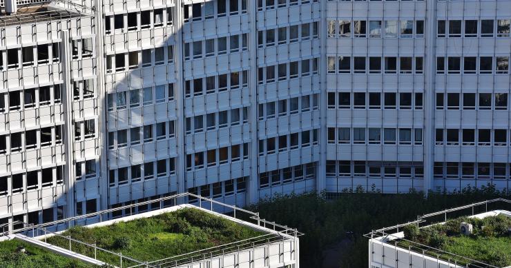 Hackeos domésticos: llegan las cubiertas verdes a las ciudades