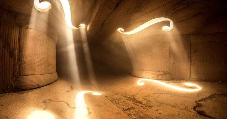 Las fotos de un violonchelo se han hecho virales en Twitter… y no te imaginas el porqué