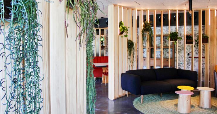 Ideas de decoración: por qué decorar la casa con cactus, la planta de moda