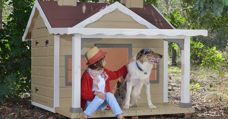 Ocho consejos prácticos que te ayudarán a preparar tu casa para vivir con un perro