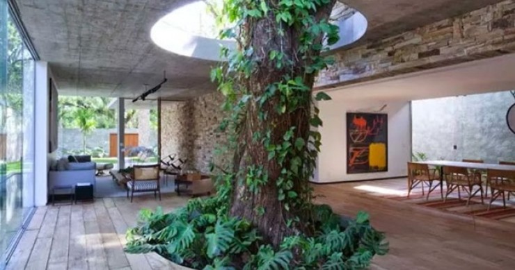 10 casas que se adaptaron literalmente a la naturaleza