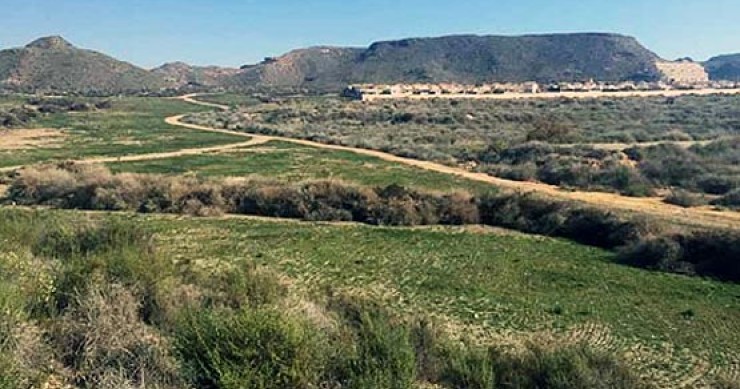 Aliseda pone a la venta 550 suelos principalmente para levantar viviendas
