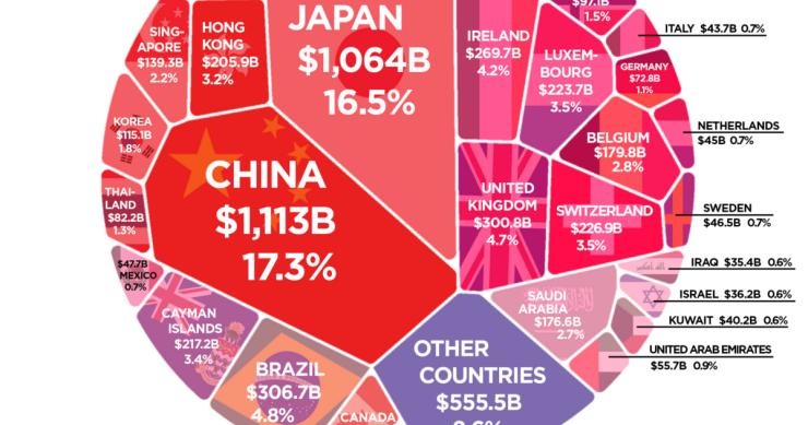 Imagen del día: los principales países con la mayor deuda de EEUU y China es el número uno 