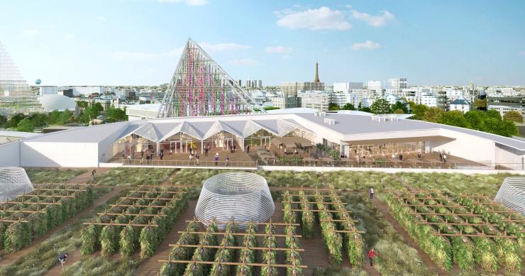 Así es el huerto urbano más grande del mundo y está en París