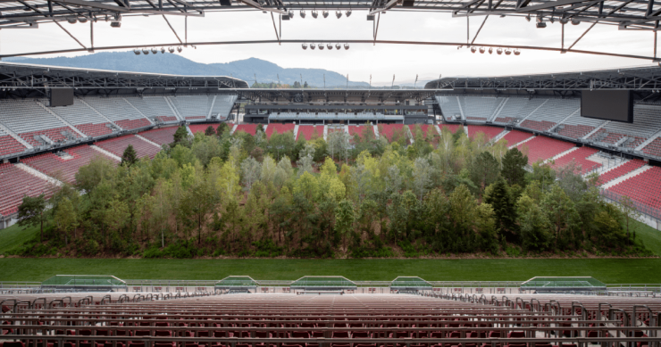 Este estadio de fútbol de Austria se ha reconvertido en un bosque para homenajear al medioambiente