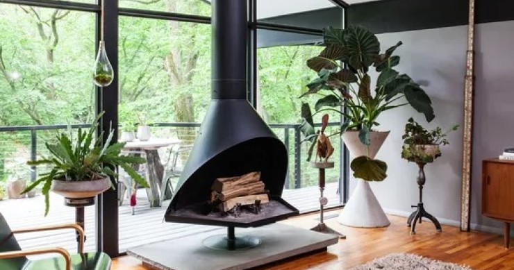 Cómo crear tu propio oasis en casa con plantas de interior