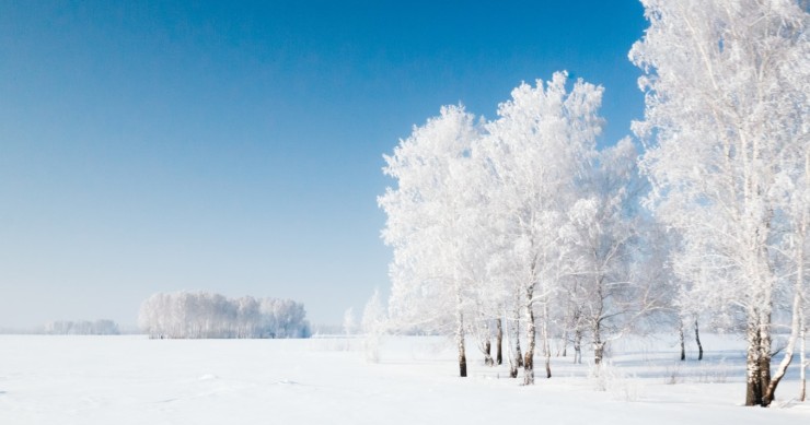 Un empresario ruso pone a la venta una aldea habitada por 300.000 euros