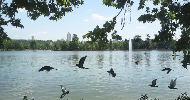 Unternehmen Sie einen ruhigen Spaziergang in einem dieser Parks von Madrid / Aurora Suárez