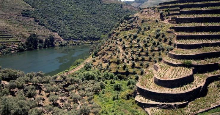 Abanca compra la histórica finca Quinta da Boavista para reforzar su inversión vitivinícola en Portugal