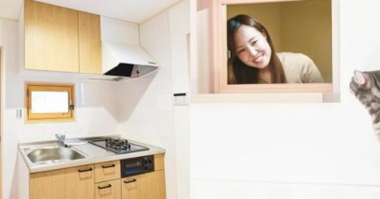 Pisos de alquiler para solteros con gato, la última moda inmobiliaria en Japón