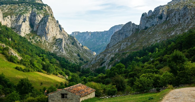 Foto di Javier Rincón su Unsplash