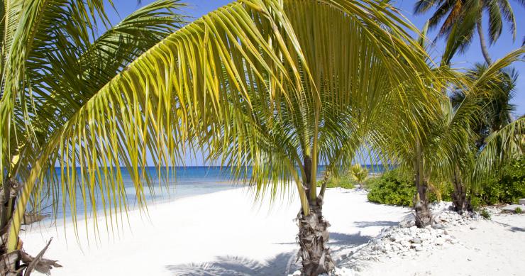 Ya puedes vivir y teletrabajar en el paraíso de Islas Caimán con una condición: ganar 85.000 euros