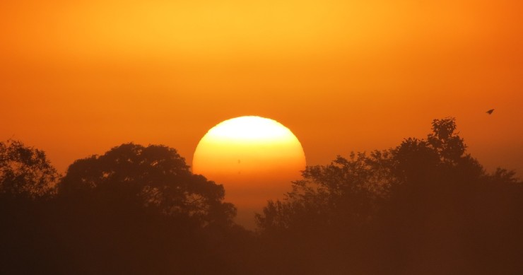 Poner placas solares en un piso
