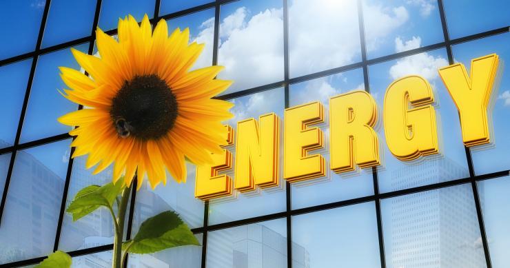 Los factores a tener en cuenta para saber si son rentables las placas solares