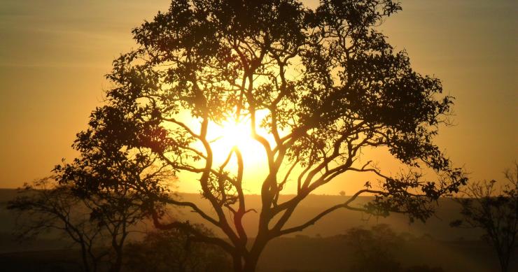 Compensación de excedentes de autoconsumo 