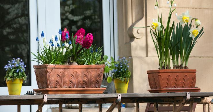 Consejos útiles para sacar todo el partido a tu terraza (incluso si es mini)