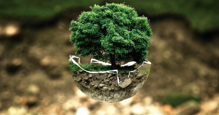 Reciclar paneles solares 