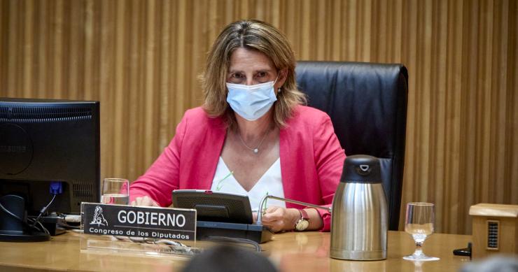 La ministra de Transición Ecológica y Reto Demográfico, Teresa Ribera