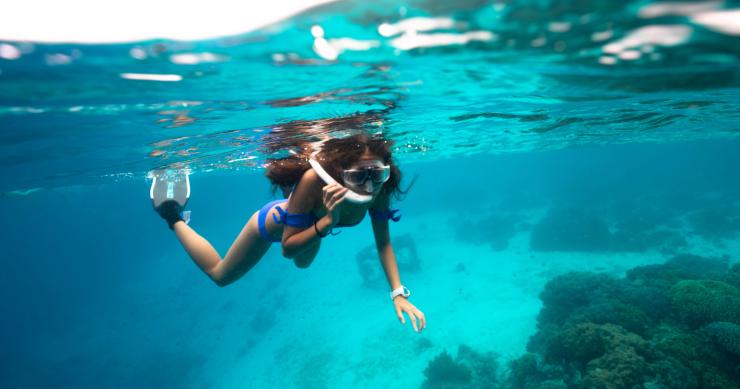 Las mejores playas en España para surfear, practicar buceo y snorkel Las mejores playas en España para surfear, practicar buceo y snorkel