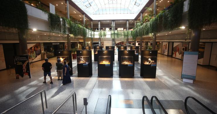 Archivo - Centro Comercial