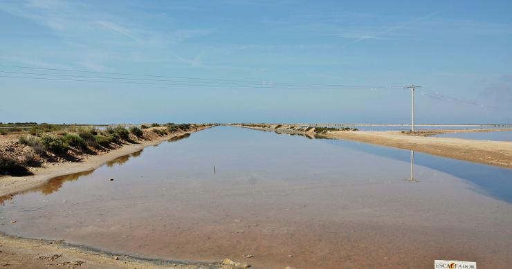 El Delta del Ebro, en riesgo de inundación: el Gobierno planea comprar tierras y los lugareños luchan por la propiedad 