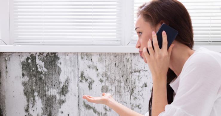 Limpieza del moho en las paredes: trucos caseros y consejos a tener en cuenta