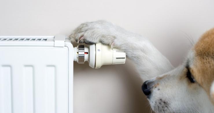 El truco para calentar la casa más rápido y ahorrar en tu factura energética