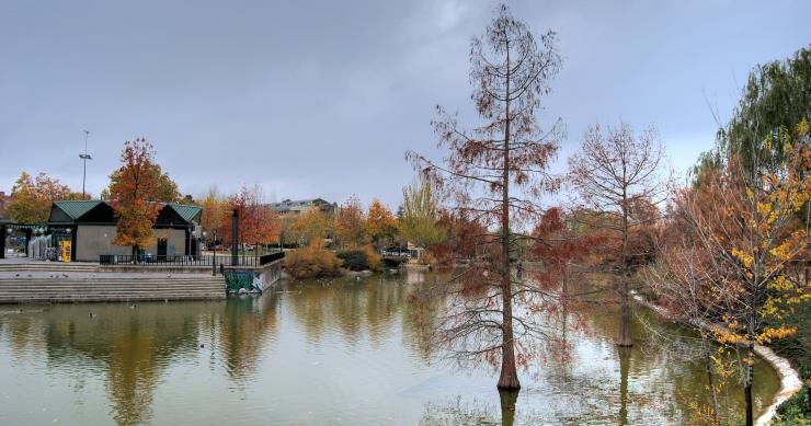Las Rozas