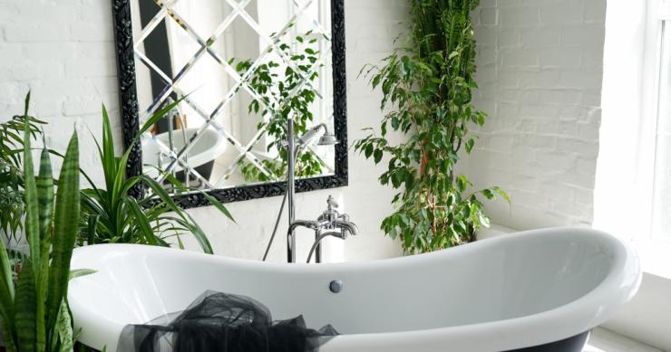 Por qué debes decorar con plantas el baño de casa